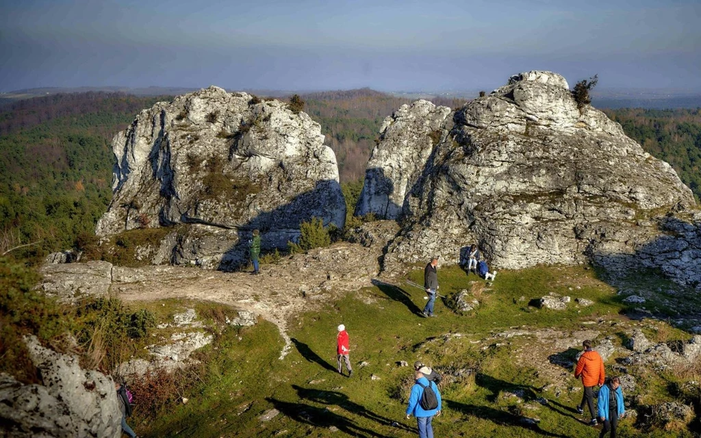 Góra Zborów