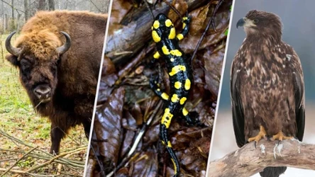 Sprawdź się w quizie przyrodniczym/fot.123RF/PICSEL/Agencja FORUM Daniel Dmitriew