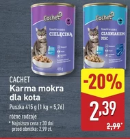 Mokra karma dla kota Cachet