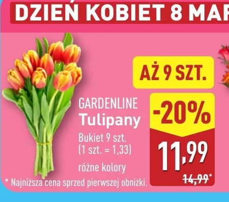 Bukiet tulipanów Gardenline