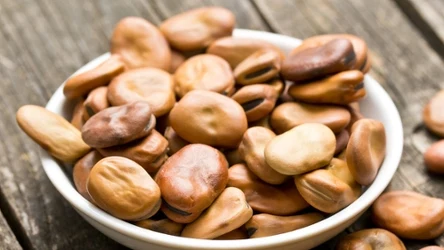 Suszony bób może być pysznym i zdrowym dodatkiem do sałatki 