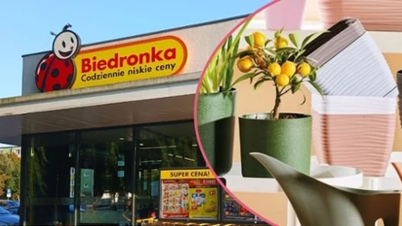 Przepiękne osłonki, doniczki i konewki w Biedronce! 