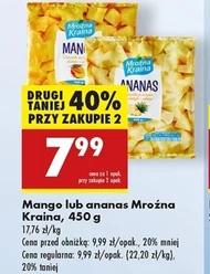 Ananas Mroźna Kraina