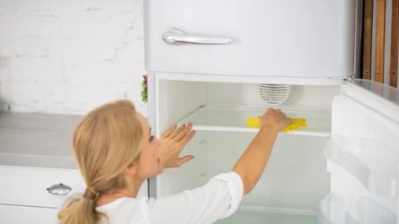 Jak myć lodówkę? Kluczową kwestią jest odłączenie urządzenia od zasilania na czas sprzątania.