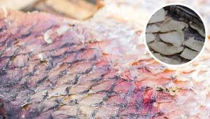 Ta część ryby jest żelazkiem na zmarszczki. Nie wyrzucaj, tylko zrób przekąskę