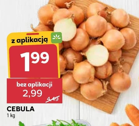 Cebula