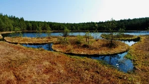 Ukryte jezioro, a na nim malutkie, okrągłe wyspy. Skarb na północy Polski