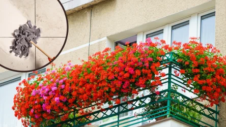 Jak skutecznie wyczyścić balkon?