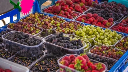 Polski owoc znalazł się na drugim miejscu prestiżowego rankingu Taste Atlas