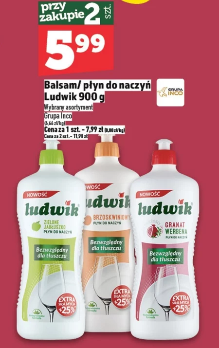 Płyn do naczyń Ludwik