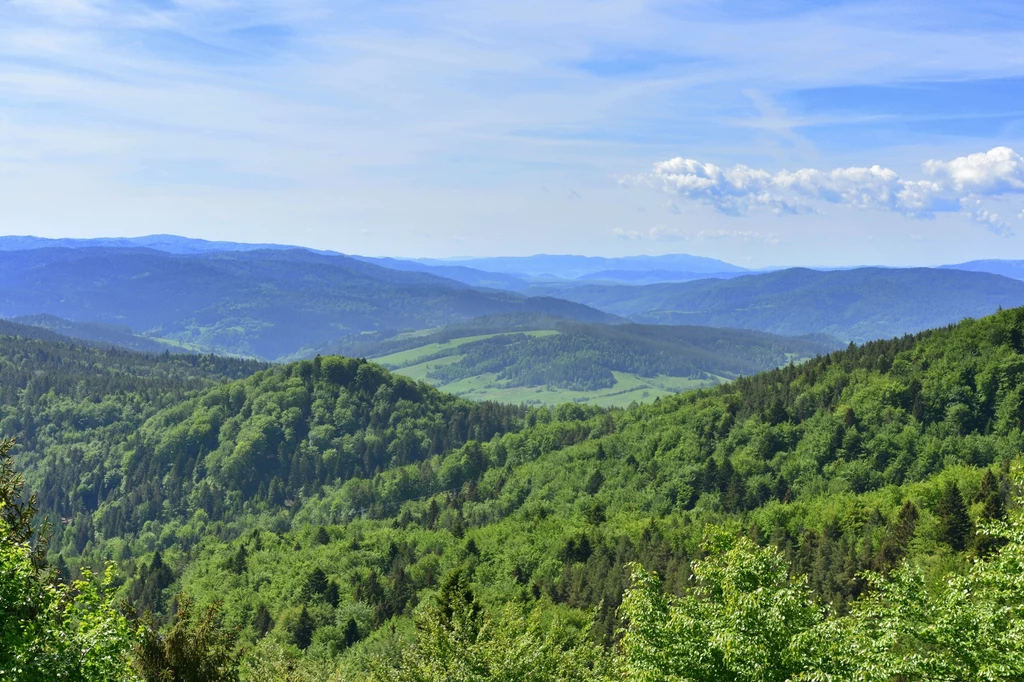 Z tarasu widokowego na Jaworzynie Krynickiej rozpościera się wspaniała panorama 