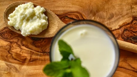 Grzybek tybetański nie jest grzybem w sensie botanicznym, lecz kolonią mikroorganizmów