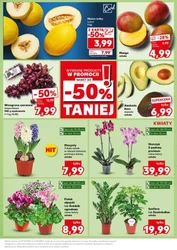 Mocny Start - Kaufland