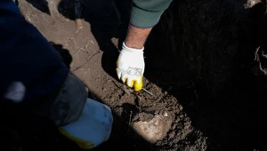 Z grobu w Pergamonie do laboratorium. Odkrycie, które zmienia historię medycyny (zdj. poglądowe)