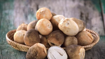 Grzyby słomkowe są bogate w białko, witaminy z grupy B (szczególnie foliany), żelazo, miedź i selen. 