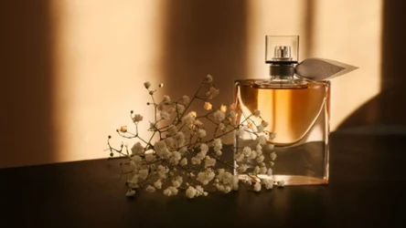 Te odpowiedniki luksusowych perfum wróciły do Biedronki! Carolina Herrera, YSL, Calvin Klein i inne..