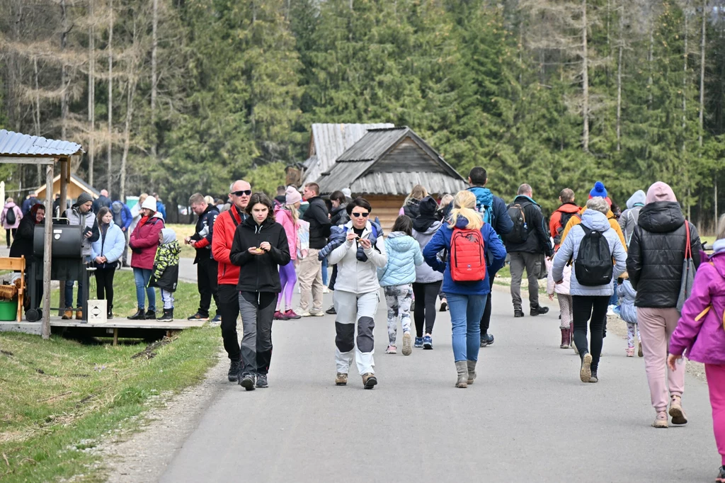 Turyści wciąż łamią jeden z zakazów, który panuje w Tatrach. TPN po raz kolejny apeluje w tej sprawie