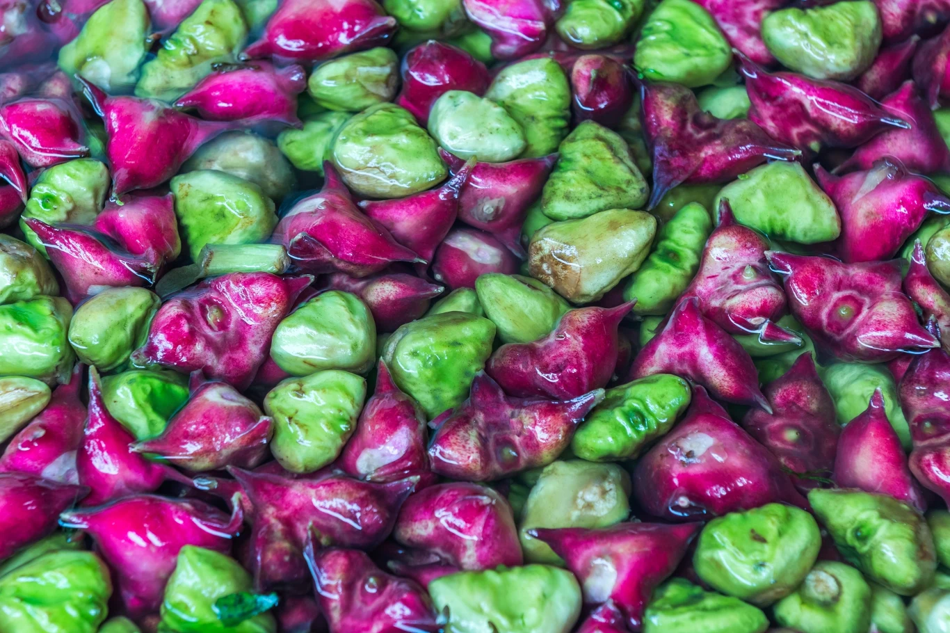 Orzechy wodne warto ugotować przed spożyciem. Orzechy wodne warto ugotować przed spożyciem.