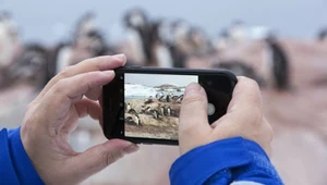 Nagle na końcu świata pojawiły się tłumy. Chodzą głosy o efekcie TikToka