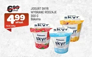 Skyr Bakoma