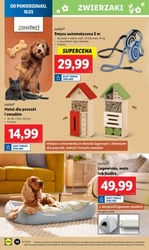 Styl i oszczędność – Lidl