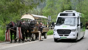 Konie już nie pojadą nad Morskie Oko. Rewolucyjna zmiana zatwierdzona