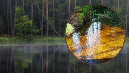 Jezioro Kacze Oko to wyjątkowe miejsce/Marek Bazak, Zofia Bazak/East News