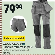 Spodnie robocze męskie Bluewear