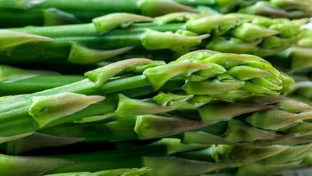 Szparagi importowane są już w dyskontach. Ile kosztują?