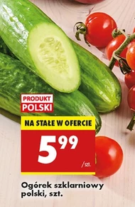 Ogórek Polski