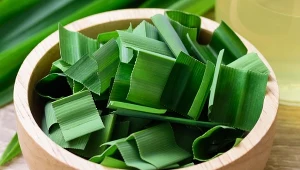 Liście pandanu są wykorzystywane nie tylko w kuchni, ale też do krycia dachów i plecenia koszy