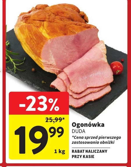 Ogonówka Duda