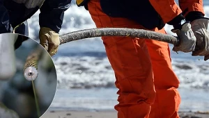 Meta chce dołączyć do pozostałych gigantów kontrolujących podmorskie autostrady internetowe