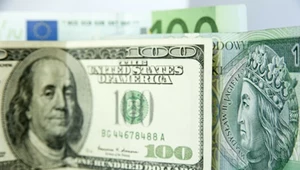 Trudny tydzień dla polskiej waluty. "Złoty pozostanie pod presją"