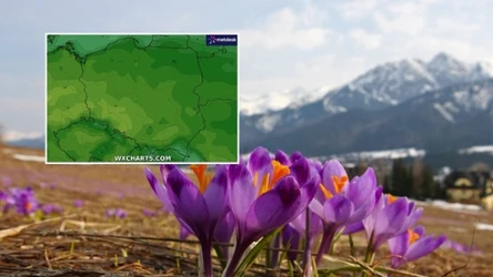 Środa będzie przyjemnym, słonecznym i ciepłym dniem. Tylko na północy radość z wyższych temperatur może zmącić silny wiatr, przed którym ostrzega IMGW