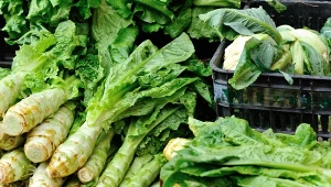 Ma 4 razy więcej witaminy C niż sałata. Dobrze smakuje surowa i kiszona