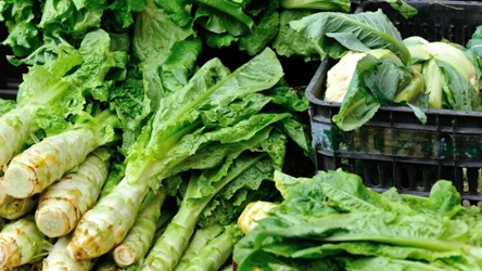 Sałata łodygowa najlepiej smakuje po ukiszeniu