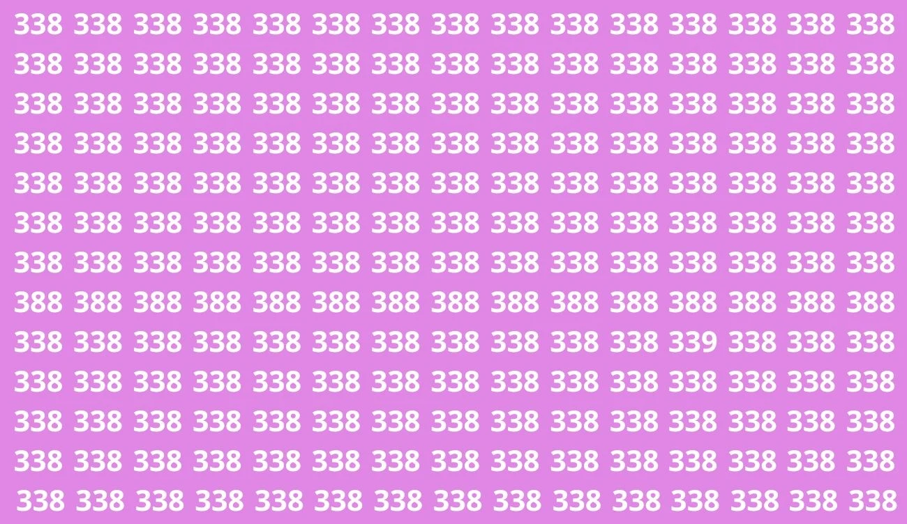 Czy uda ci się znaleźć liczbę 339? Nastaw stoper i spróbuj swoich sił