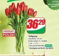 Bukiet kwiatów Tulipany