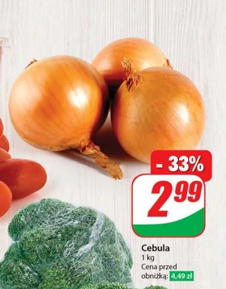 Cebula