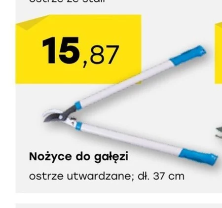 Nożyce do gałęzi