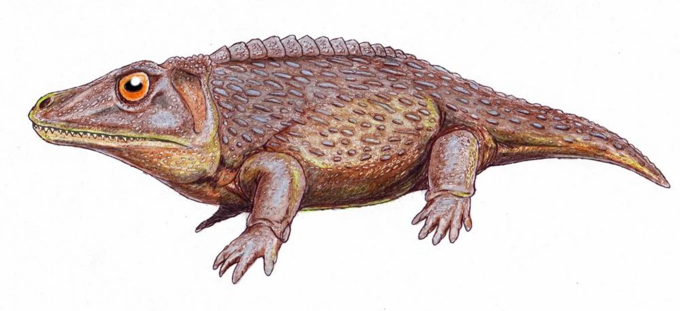 Zygozaur - płaz z grupy temnospondyli znany z Tatarstanu w Rosji