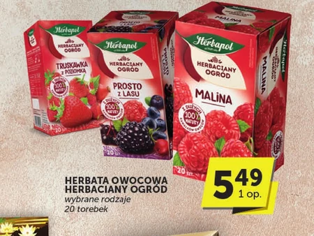 Herbapol Herbaciany Ogród Herbatka owocowo-ziołowa malina 54 g (20 x 2,7 g)