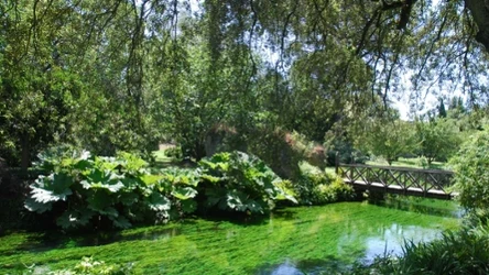 ​Mówią, że to najpiękniejszy ogród w Europie. Turyści będą mogli go zwiedzić już w marcu