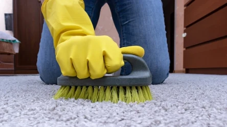 Czyszczenie dywanu z długim włosiem typu shaggy nie jest trudne. Musisz tylko poznać odpowiednie sposoby
