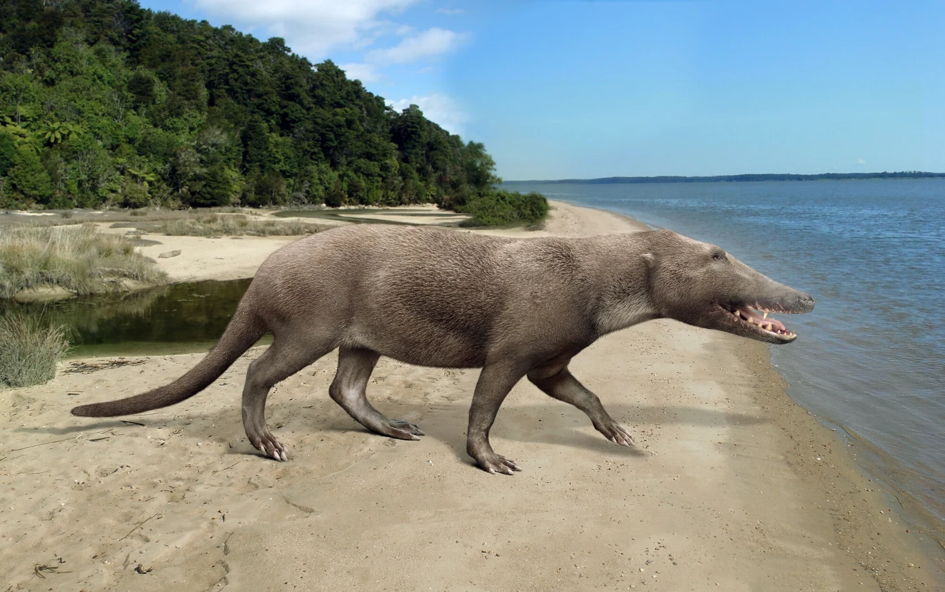Pakicetus - podobny do wilka lądowy przodek wielorybów