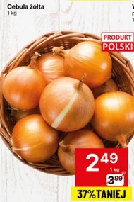 Cebula Polski