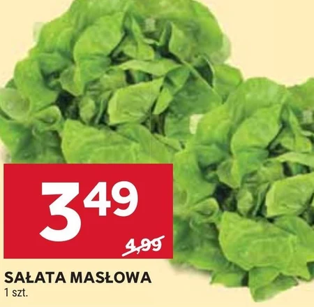 Sałata masłowa