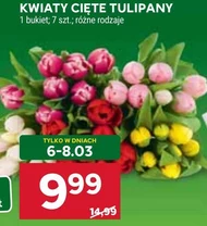 Букет тюльпанів Tulipany