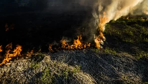 Alarmujące dane: tysiące pożarów traw od początku roku. Olbrzymie straty